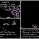 Image for article titled The Making Of Carmen Sandiego